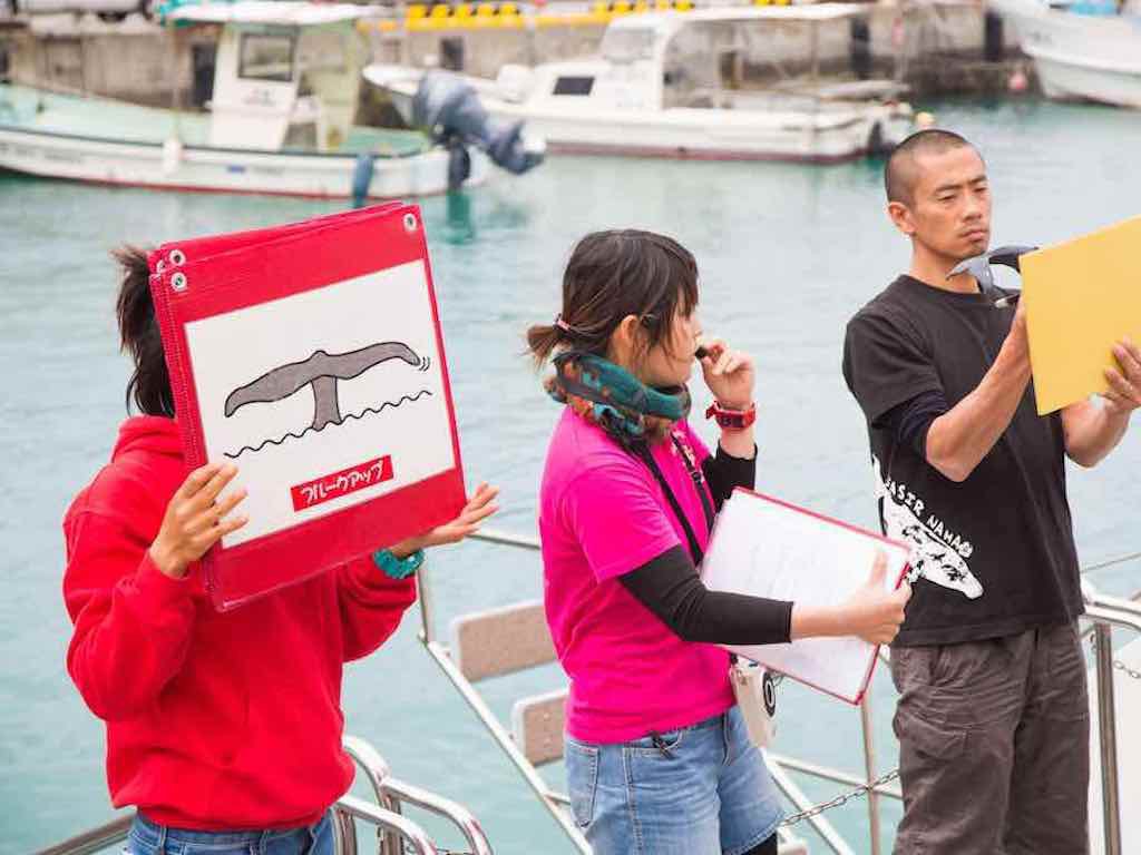 Melihat Ikan Paus di Okinawa Musim Dingin 4